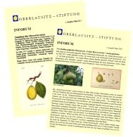 Publikationen der Oberlausitz-Stiftung, kleines Symbolfoto