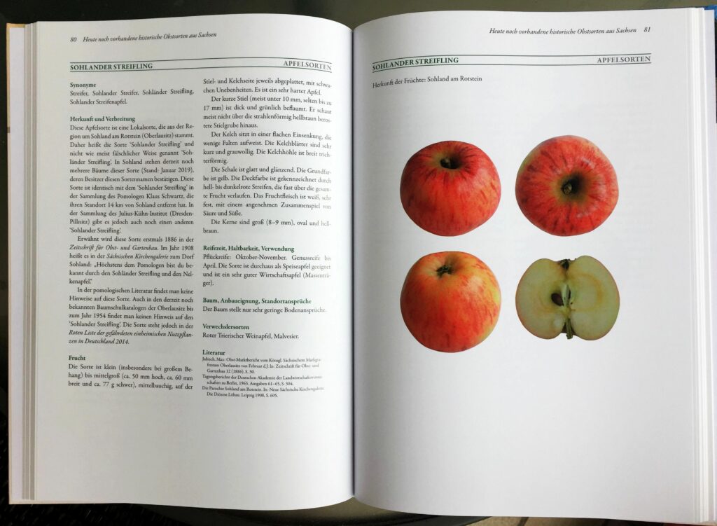 Sachsens historische Obstsorten Beispielseite