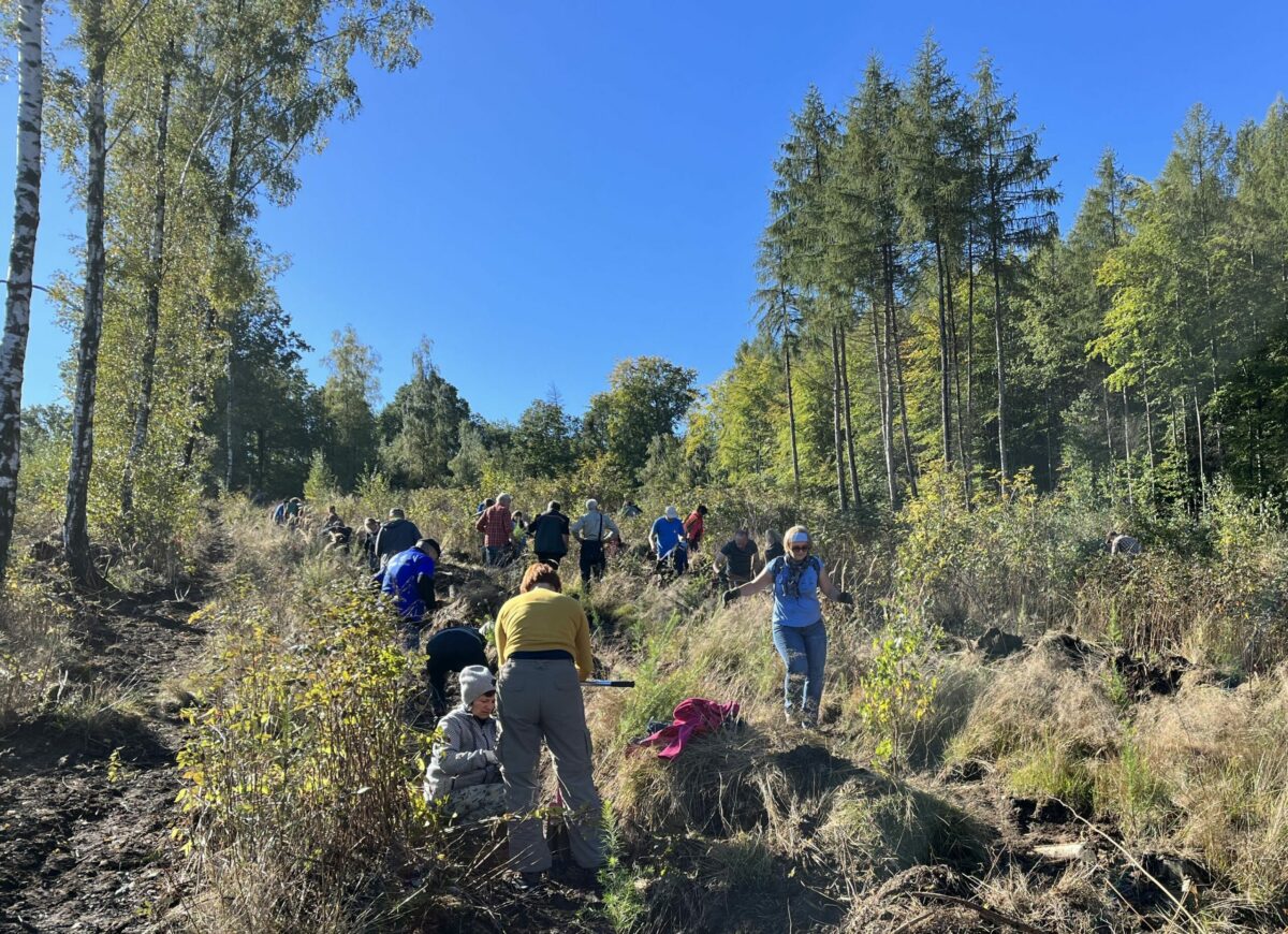 ZUKUNFTSWALD - DER START - Oberlausitz-Stiftung