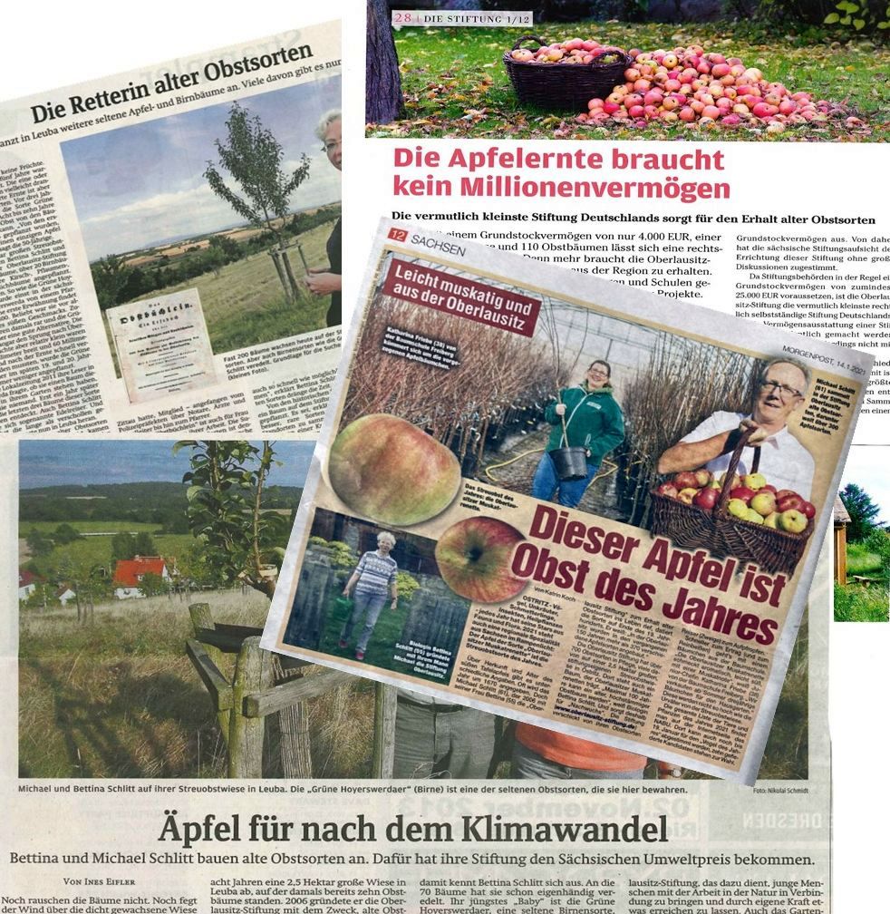 Symbolfoto Presse über Oberlausitz-Stiftung