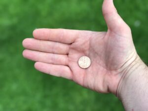 Münze in der Hand