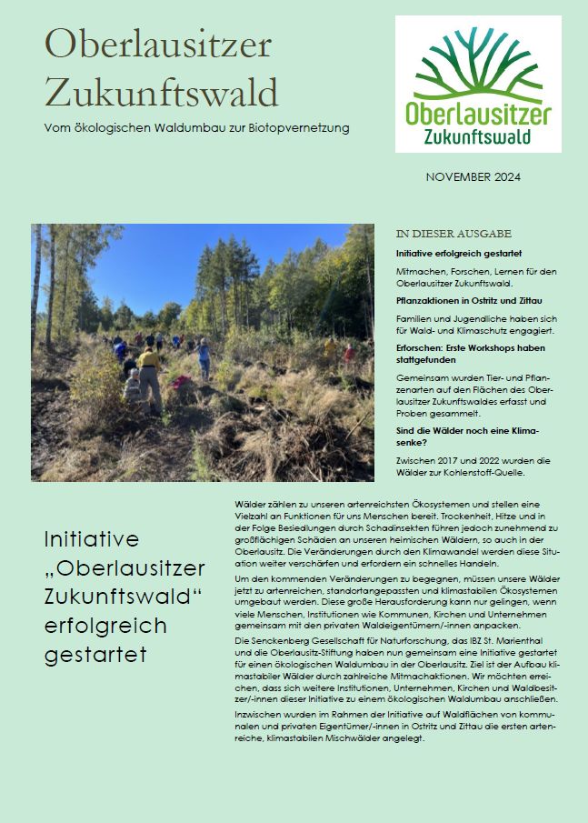 OZuWa-Newsletter-Nov2024-Titelbild Newsletter OZuWa Nov. 2024 Titelbild