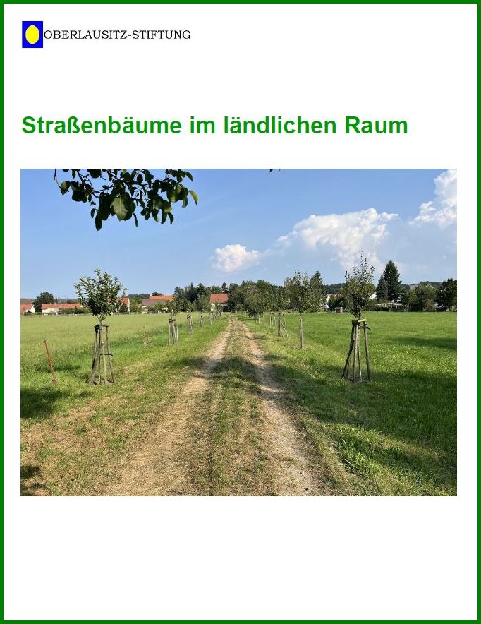 Titelbild der Publikation "Straßenbäume im ländlichen Raum"