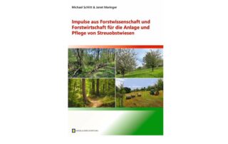 Schlitt+Maringer-2026_Beitragsbild