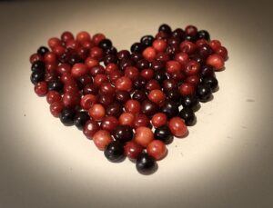 Früchte verschiedener Kirschesorten als Herz angeordnet