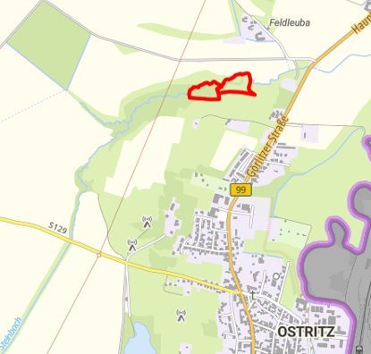 Hirschgrund-Lage Kartenansicht mit Lage des Naturwaldes Hirschgrund bei Ostritz